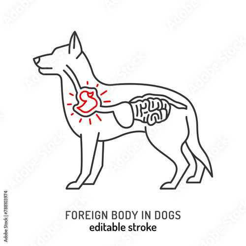 Injuries in dogs. Foreign body trauma icon, pictogram.