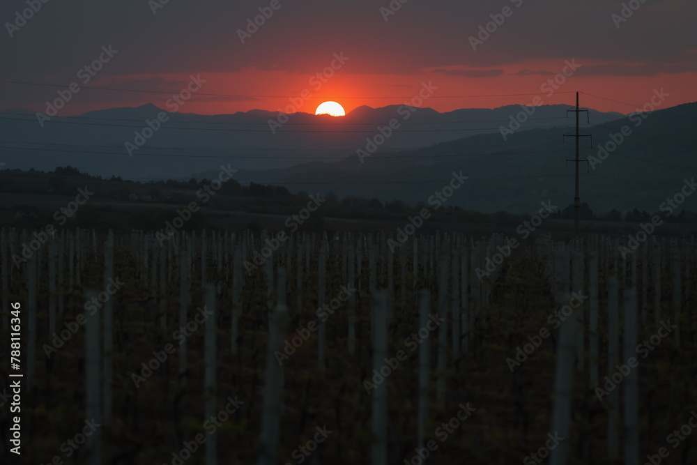 Fototapeta premium Sun setting over hills with a vineyard in the foreground