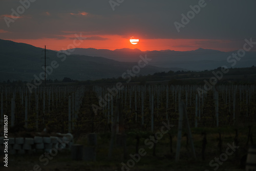 Sun setting over hills with a vineyard in the foreground