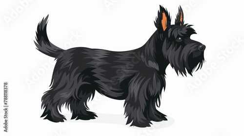 Scottish Terrier or Scottie. Adorable small dog  photo