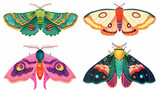 Set of Four bright colored cartoon moths of different