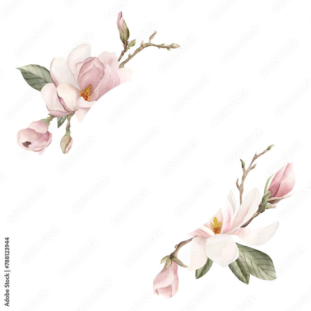 Light pink magnolia flowers, buds, sprigs and leaves. Floral watercolor illustration hand painted isolated on white