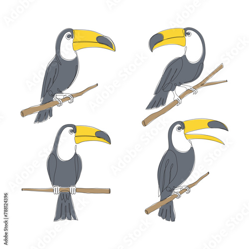Toucan one Continuous line drawing icon set. Line art of toucan bird. Toucan icon minimalist pack. Vector illustration