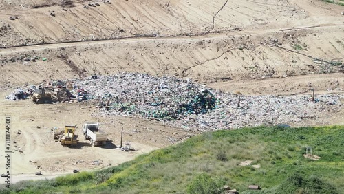 sheep grazing in the mountains