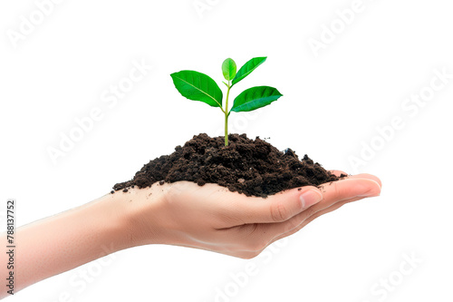 Woman's hand exiting from the left holding a mountain of earth with a small plant sprouting from it isolated on a cut out PNG transparent background