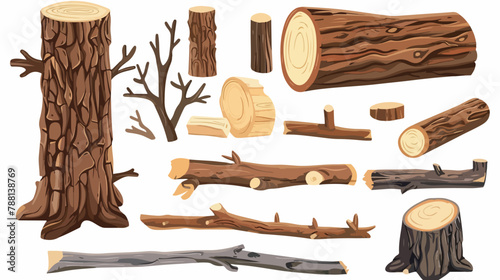 Wooden logs vector illustration. Tree trunk parts
