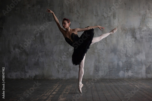 Ballerina performing the black swan dance from the ballet Swan Lake.