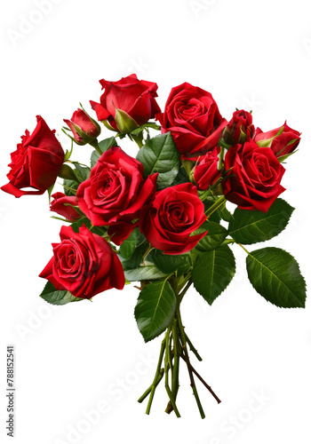 bouquet of red roses  isolated on a transparent background. PNG