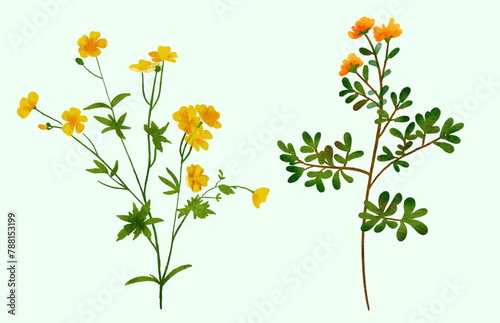 tarragon herb.ai