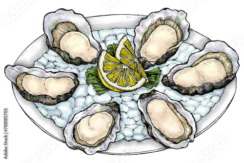 Colorful png oyster salt-water bivalve platter photo