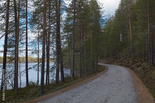 Asphalt Jatkonsalmentie road in forest in cloudy spring weather, Hossa National, Park, Suomussalmi, Finland. photo
