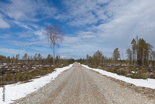 Gravel Julma-Ölkyntie road in forest in cloudy spring weather, Hossa National, Park, Suomussalmi, Finland. photo