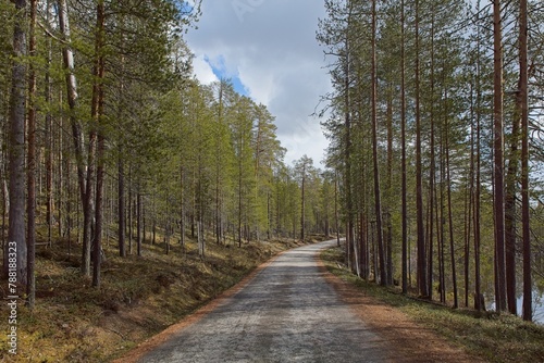 Asphalt Jatkonsalmentie road in forest in cloudy spring weather, Hossa National, Park, Suomussalmi, Finland. photo