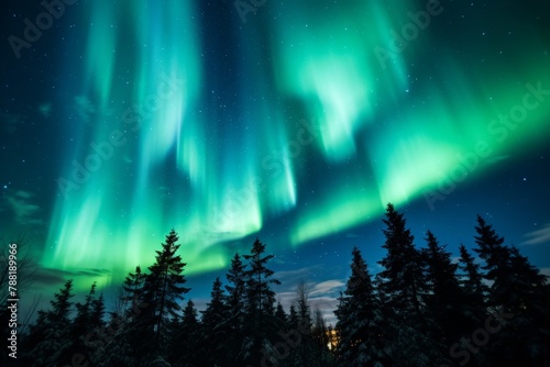 Amazing northern lights against the background of a spruce forest  the sky is illuminated with bright colors