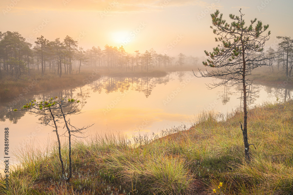 View of natural forest and calm lake from high perspective, Karelia, Russia. View of natural forest and calm lake from high perspective, Karelia, Russia.