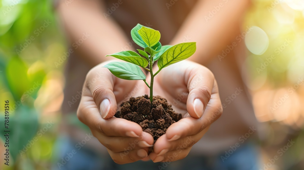 Employee Sustainability Training Provide Sustainability Training And