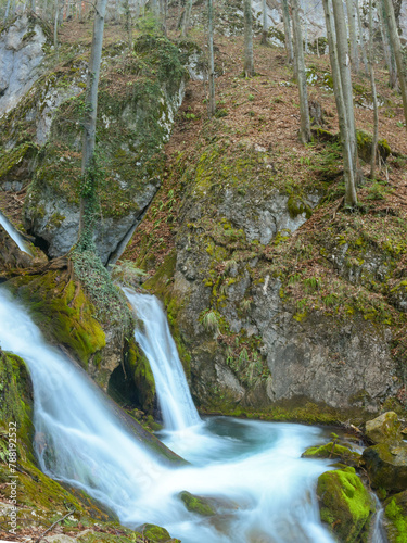 A mountain stream flowing through boulders and cliffs covered with moss and forming cascades and ponds. The stream flows through a beech forest. Early spring, Carpathia, Romania.