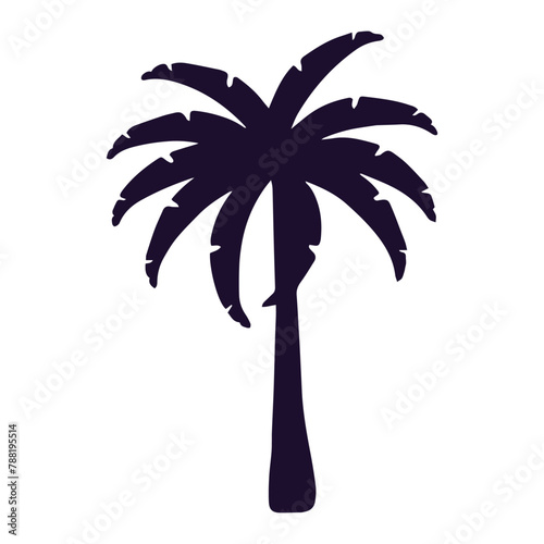 Silhouette of a tropical plant, palm tree.Vector graphics.