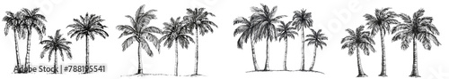 Vintage Hand-Drawn Palm Trees Vector Illustration