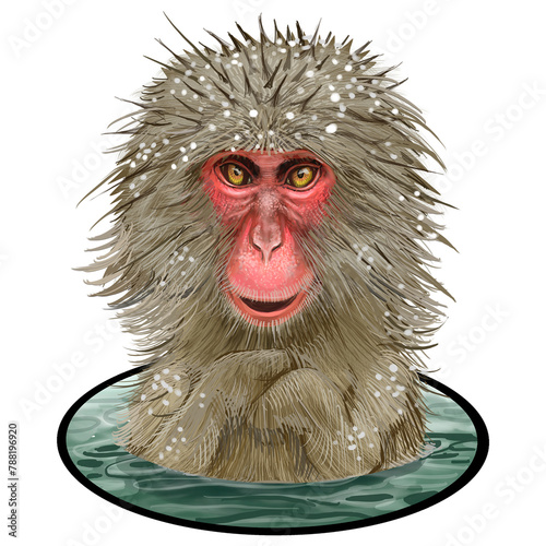 Japanese macaques png sticker, bathing Onsen illustration photo