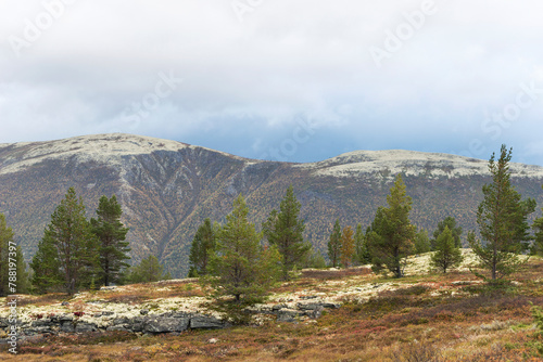 View of Mountains with trees and bushes in autumn, Hovringen, Rondane, Innlandet, Norway. photo