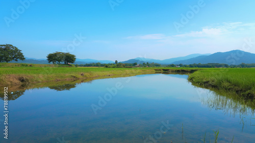 A beautiful landscape capturing a paddy field under a clear blue sky with distant mountains © PrabhjitSingh