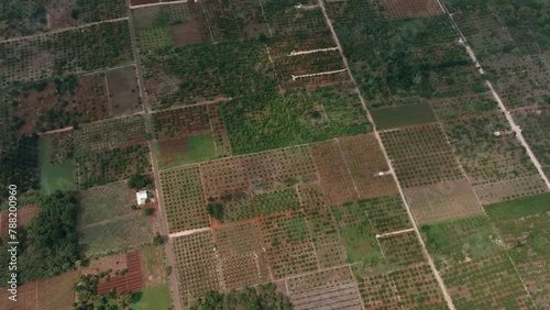 Aerial view of agricultural landscape in Sotuta, Yucatan, Mexico. photo