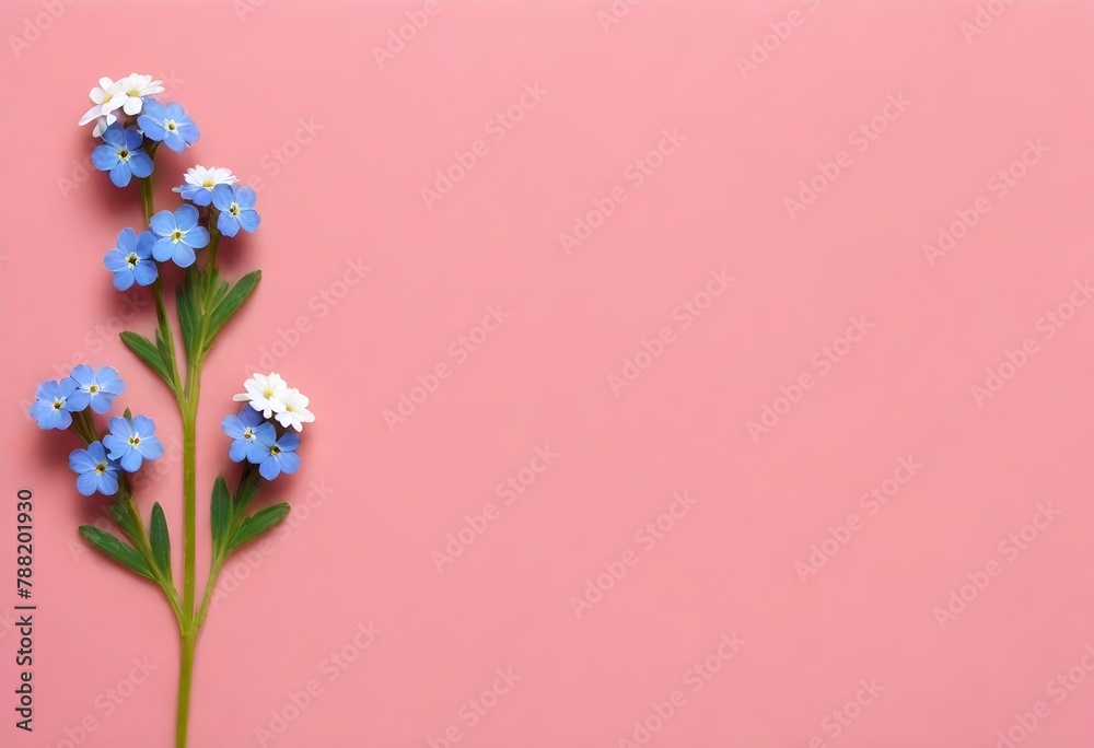 flowers on wooden background