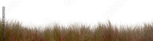 Grass png border sticker, transparent background
