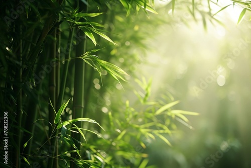 A detailed view of a bamboo plant with the sun shining through the interwoven leaves  casting intricate shadows  Bamboo forest bathed in the soft morning light  AI Generated