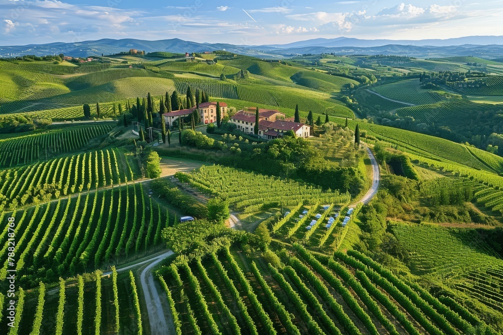 Aerial View of Vineyard in the Hills, Bird's-eye view of sprawling vineyards in Tuscany, Italy, AI Generated