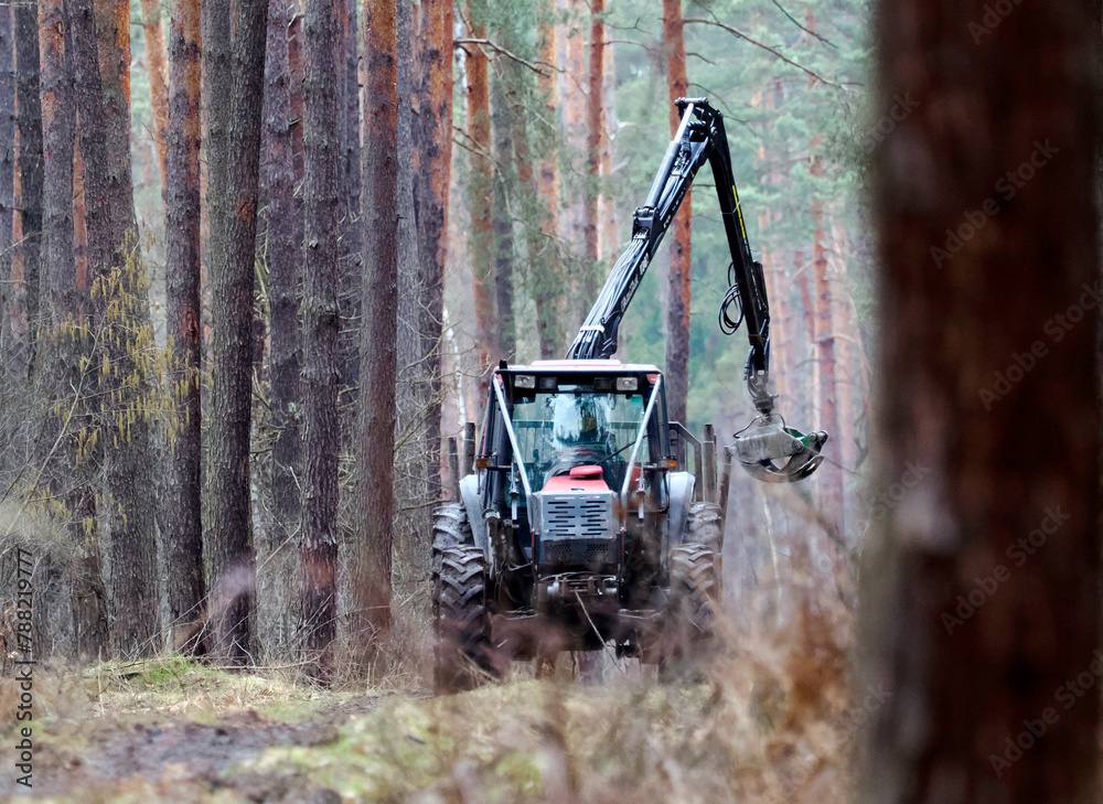 Loading wood in the forest using a tractor with a special grab Loading wood in the forest using a tractor with a special grab