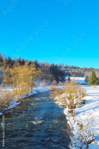 Snow-Covered Forest With River Flowing Through