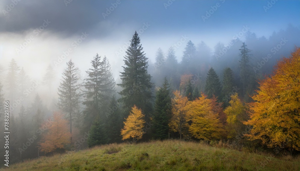 Serenade of Mist: A Symphony of Colors in the Black Forest