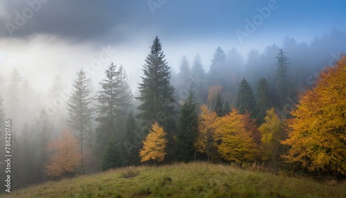 Serenade of Mist: A Symphony of Colors in the Black Forest