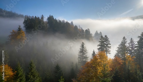 Autumn's Veil: A Glimpse into the Enchanted Black Forest © Kaifi