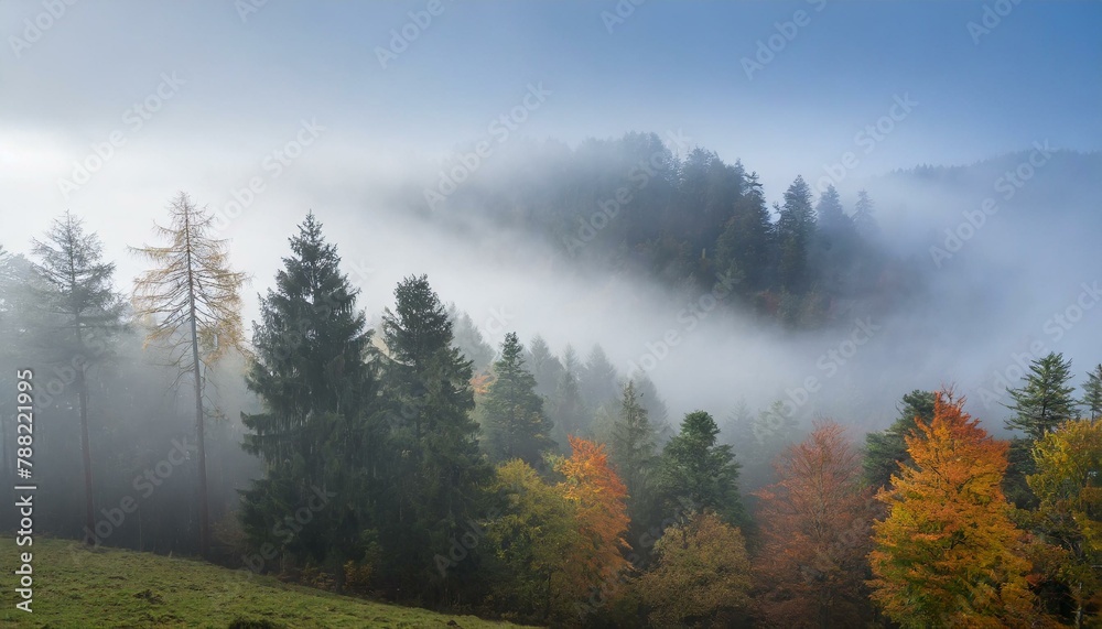 Whispers of Autumn: A Mystical Journey Through Black Forest's Fog Whispers of Autumn: A Mystical Journey Through Black Forest's Fog
