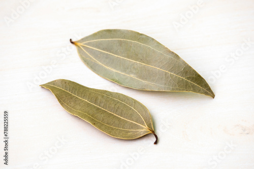 Two dried bay leaves (Laurus nobilis) isolated on a white background. It is also known as Tejpata, Cassia leaves, Cinnamomum tamala, Indian bay leaf, Indian bark, Malabar leaf, and Bay laurel.