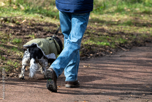 Benefits of Dog Walking. Studies show that walking just 15 minutes a day can help lower your blood pressure, which results in decreased stress levels. Walking at a brisk for your daily dose of cardio 