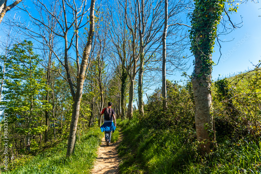A man walking through a forest near the Zumaia flysch, Gipuzkoa. Basque Country