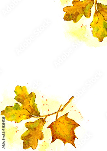 Watercolor bright leaves of oak and maple