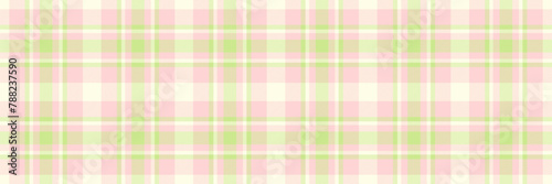 Neat vector fabric check, repetitive texture seamless plaid. Heritage textile background tartan pattern in light and lime colors.