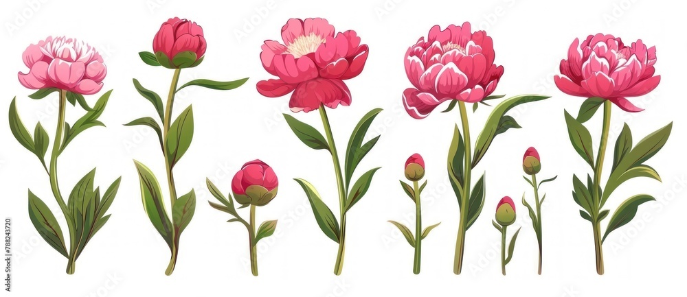 Elegant Pink Peonies in Bloom - Botanical Illustration Art - Generative AI Elegant Pink Peonies in Bloom - Botanical Illustration Art - Generative AI