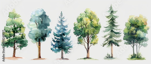 A collection of hand drawn watercolor trees in various styles, perfect for adding a touch of nature to your projects.