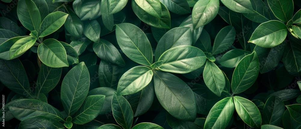 An artistic banner featuring a tropical leaves background with a green floral pattern, showcasing the beauty and diversity of plant life. - obrazy, fototapety, plakaty 
