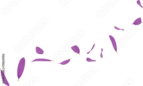 falling purple daisy flower petals