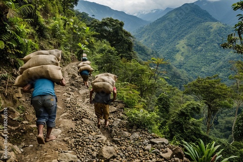Coffee Farmers Carrying Heavy Sacks of Freshly Harvested Coffee Beans on Their Shoulders, Navigating Steep Mountain Trails and Rustic Pathways, Generative AI photo