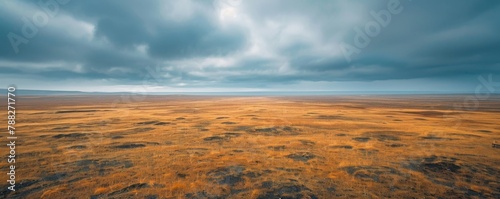 Aerial view of a minimalist tundra field under a cloudy sky.