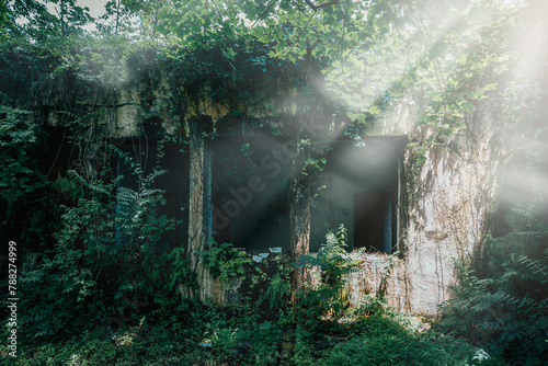 Abandoned facade overgrown with vegetation, remnants of a building swallowed by nature. © DedMityay