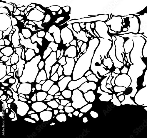 black abstract background with cells